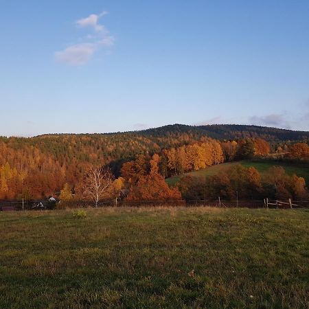 Ferienwohnung Bonndorf Wasungen Exteriér fotografie
